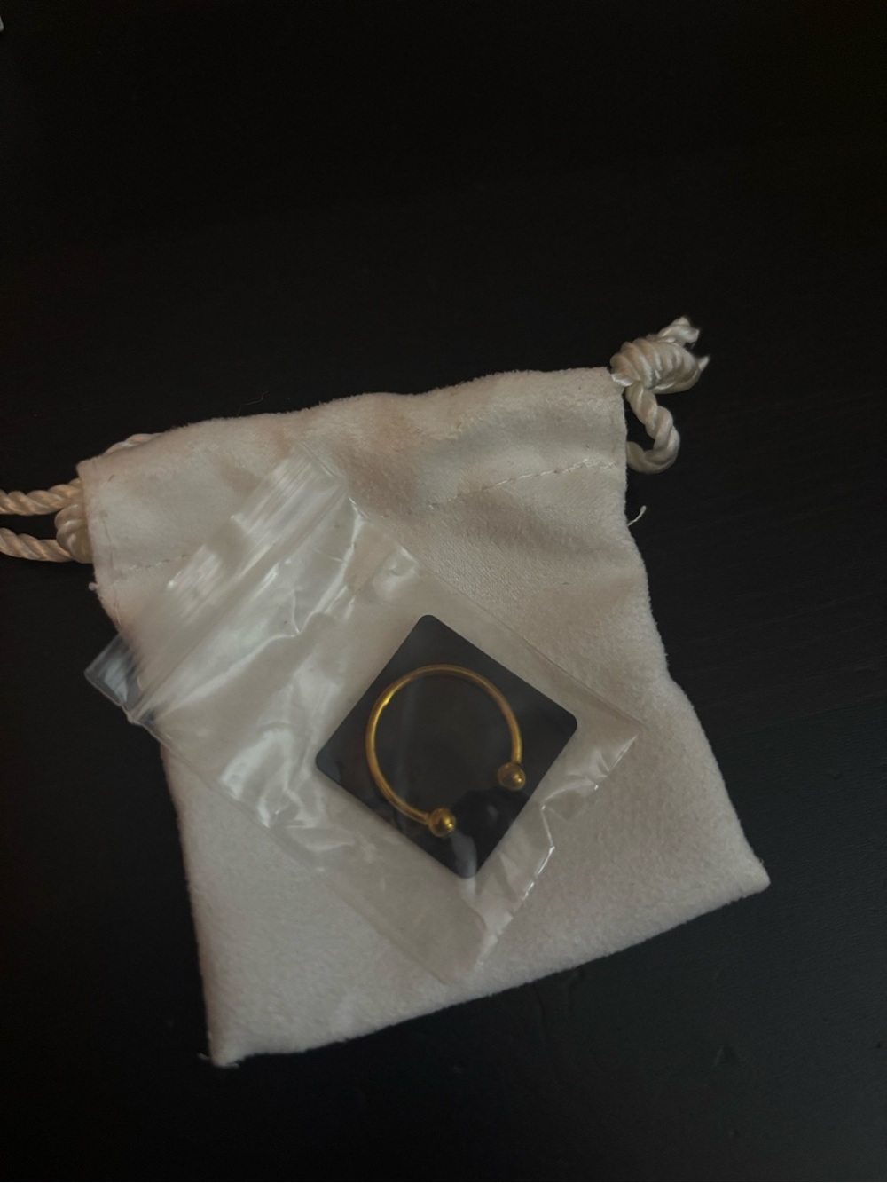 La Soula Jewelry Gold Adjustable Ring in Soft Drawstring Pouch in Ivory (2)